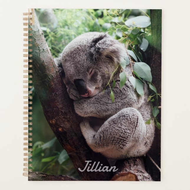Agenda Amantes de los animales del oso cute Koala (Anverso)