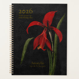 Agenda Amaryllis Grandiflora: El Heraldo de la Esplendide