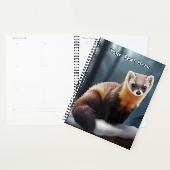 Agenda American Pine Marten (Demostración)