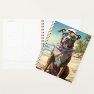 Agenda American Staffordshire en la playa, regalo de vera