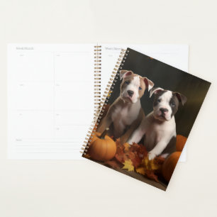 Agenda American Staffordshire Puppy Autumn Delight