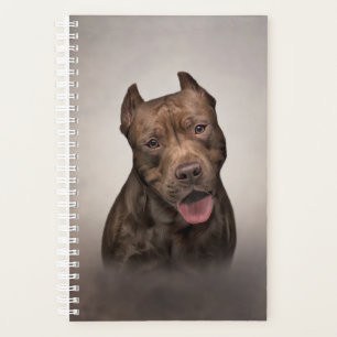 Agenda American Staffordshire Terrier