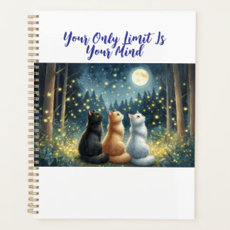 Agenda Amigos felinos y la luz de la luna