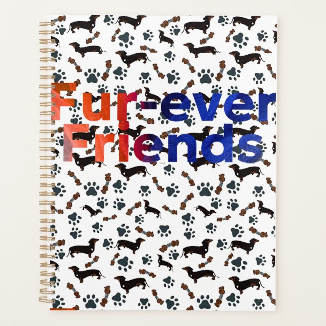 Agenda Amigos para Siempre  (Anverso)