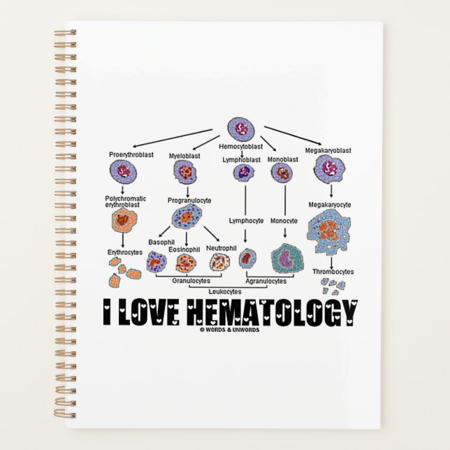 Agenda Amo la Hematología Lineaje de Células Sanguíneas (Anverso)