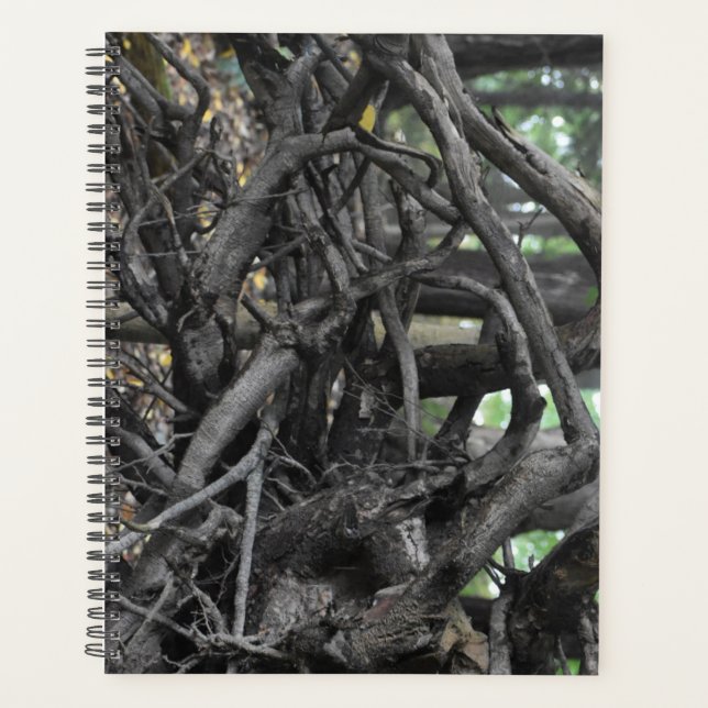 Agenda Amor a un árbol caído (Anverso)