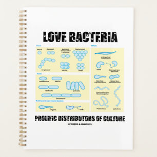 Agenda Amor Bacteria Distribuidores Prolíficos De Cultura