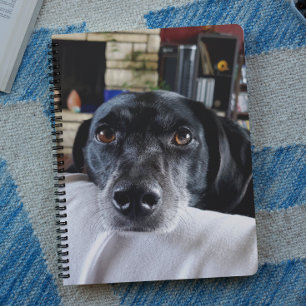 Agenda Añadir la foto de su perro a este Personalizado