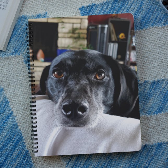 Agenda Añadir la foto de su perro a este Personalizado (Subido por el creador)