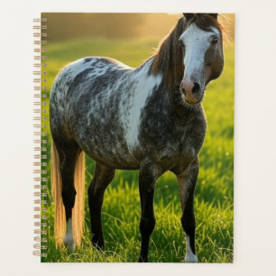 Agenda Añadir Personalizar de fotos de caballos