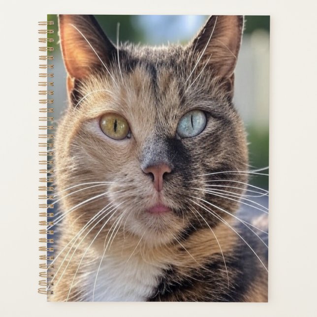 Agenda Añadir Personalizar de fotos de gato (Anverso)