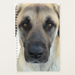 Agenda Anatolian Shepherd Dog Planner