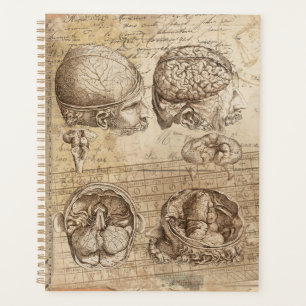 Agenda Anatomía cerebral vintage arte colateral perturba