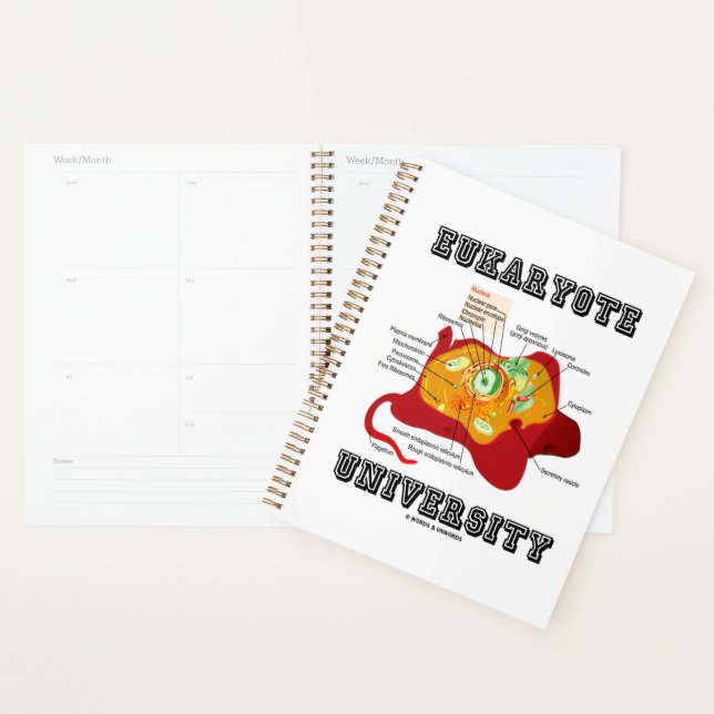 Agenda Anatomía de células animales de la Universidad Euk (Demostración)