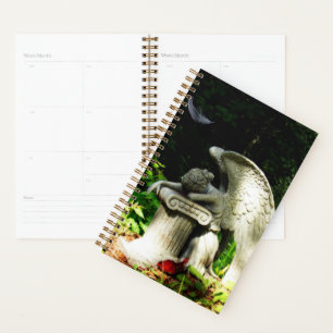 Agenda Ángel de llanto