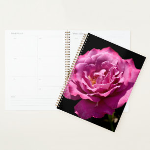 Agenda Angel Face Rosa arriba-cerca