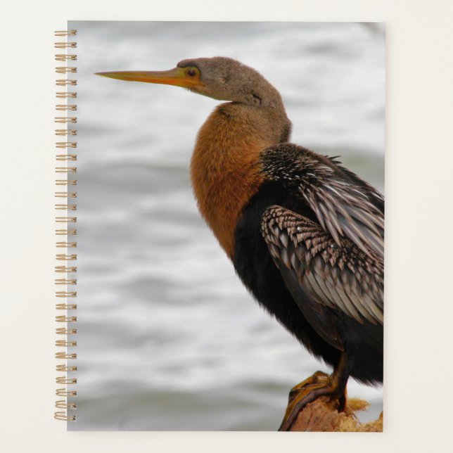 Agenda Anhinga On The Lookout (Anverso)