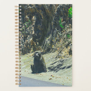 Agenda Animales animales salvajes