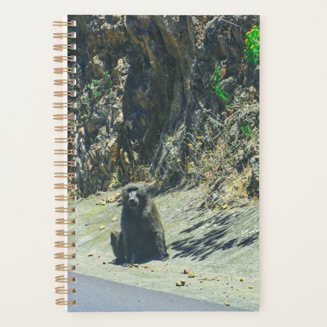Agenda Animales animales salvajes (Anverso)