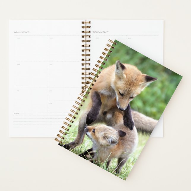 Agenda Animales de bebé más afectados | Adorable Fox Kit  (Demostración)