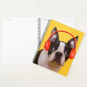 Agenda Animales de bebé más afectados   Auriculares de Bo