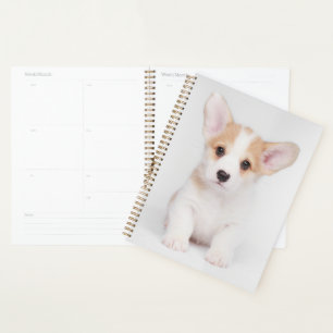 Agenda Animales de bebé más afectados Cachorros de Corg