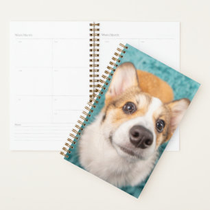 Agenda Animales de bebé más afectados   Cara dulce Corgi 