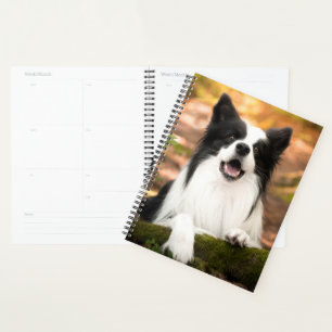 Agenda Animales de bebé más afectados   Color del borde b
