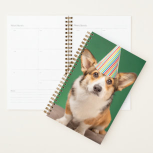 Agenda Animales de bebé más afectados Corgi Birday Pupp