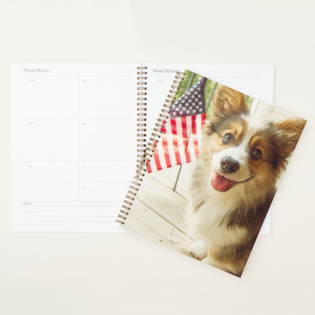 Agenda Animales de bebé más afectados | Corgi de bandera  (Demostración)