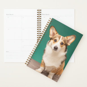 Agenda Animales de bebé más afectados Corgi en Verde az