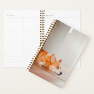 Agenda Animales de bebé más afectados   Corgi Sleeping