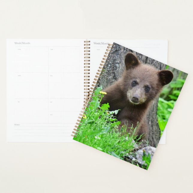 Agenda Animales de bebé más afectados | Cubo de oso marró (Demostración)