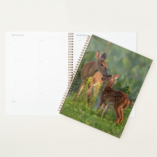 Agenda Animales de bebé más afectados | Deer y bebé (Demostración)