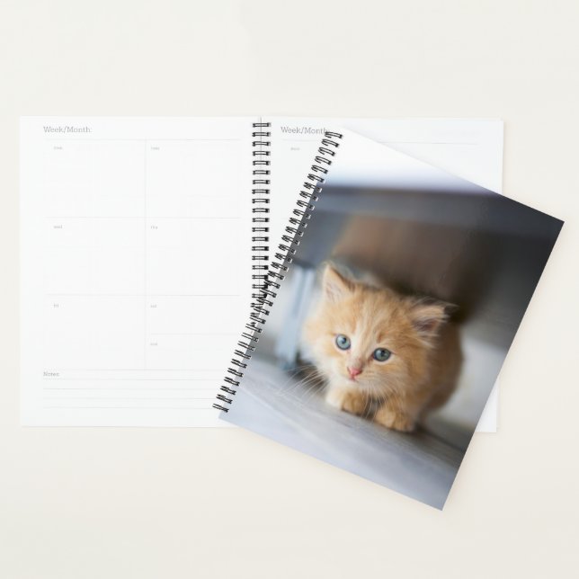 Agenda Animales de bebé más afectados | Fluffy Naranja Ki (Demostración)