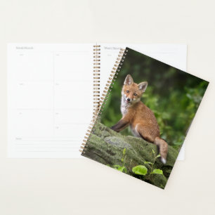 Agenda Animales de bebé más afectados Foxy Smile