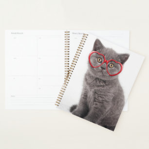 Agenda Animales de bebé más afectados   Gafas de corazón 