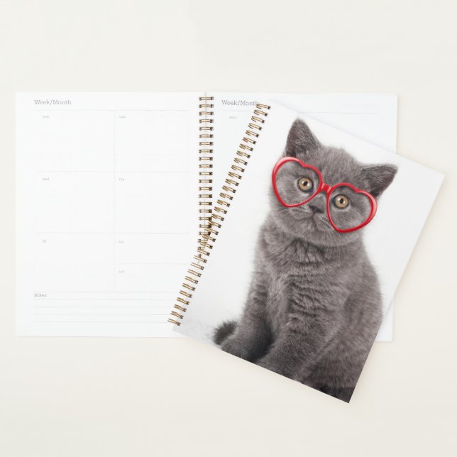 Agenda Animales de bebé más afectados | Gafas de corazón  (Demostración)