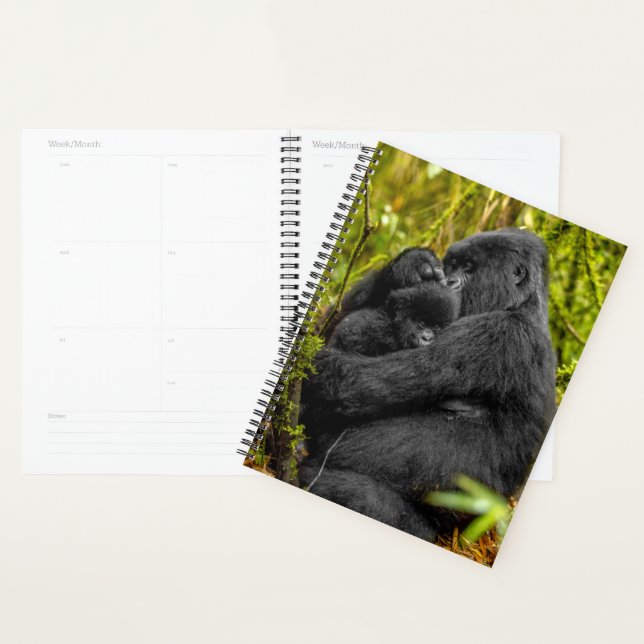 Agenda Animales de bebé más afectados | Gorila y Bebé (Demostración)
