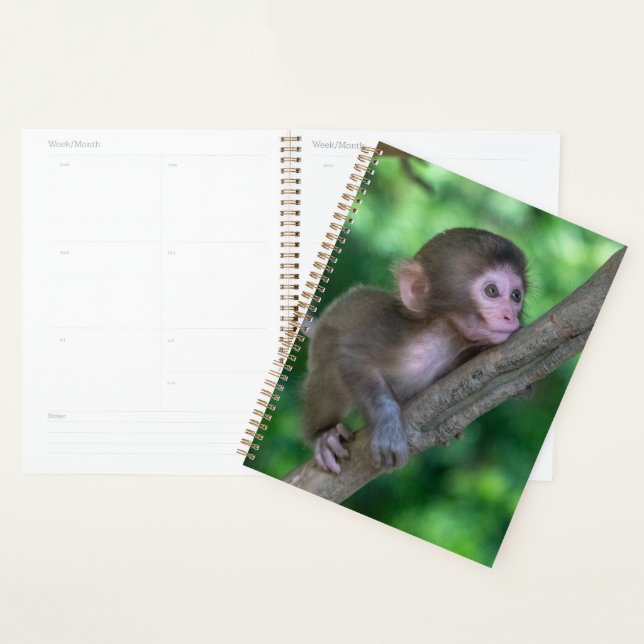Agenda Animales de bebé más afectados | Mono bebé (Demostración)