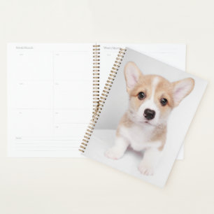 Agenda Animales de bebé más afectados Pequeño Corgi