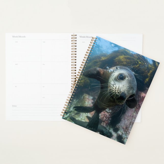 Agenda Animales de bebé más afectados | Sello subacuático (Demostración)