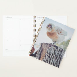 Agenda Anime Chicken on Stump Standard Size Planner