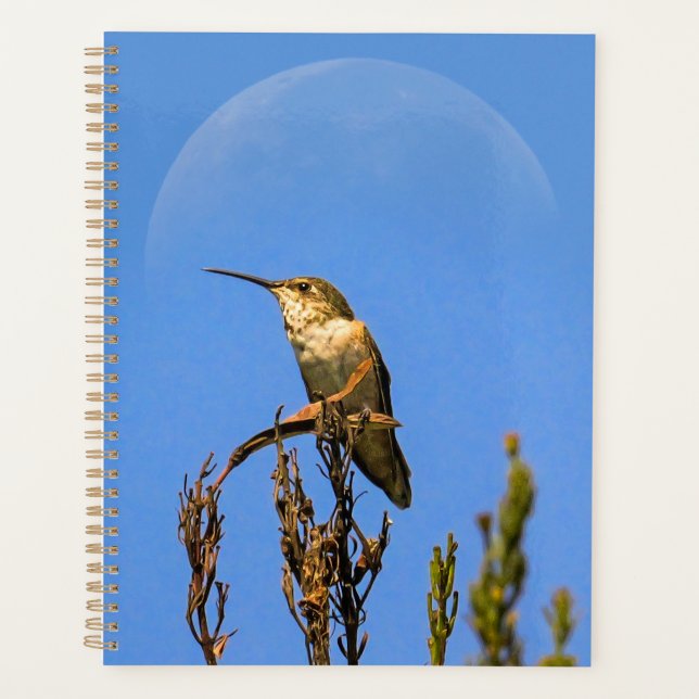 Agenda Anna’s Hummingbird Perched Against Full Moon Photo (Anverso)