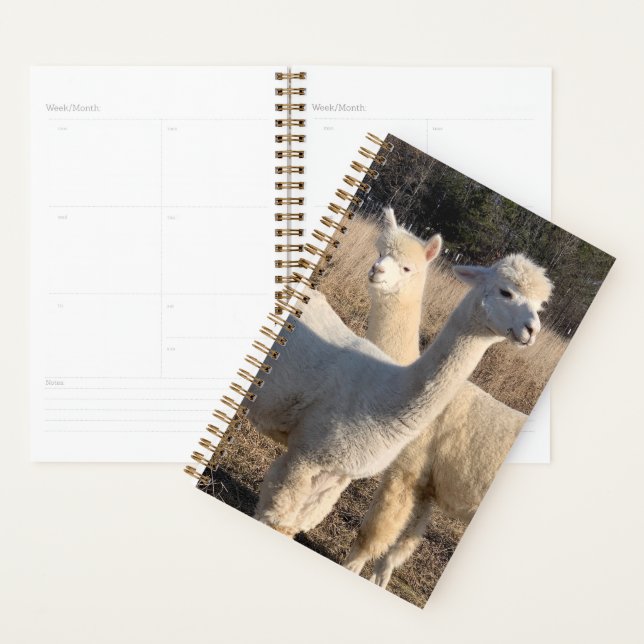 Agenda Annual Planner - Alpacas (Demostración)
