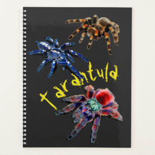 Agenda Araña tarántula, araña azul, araña roja, arañ