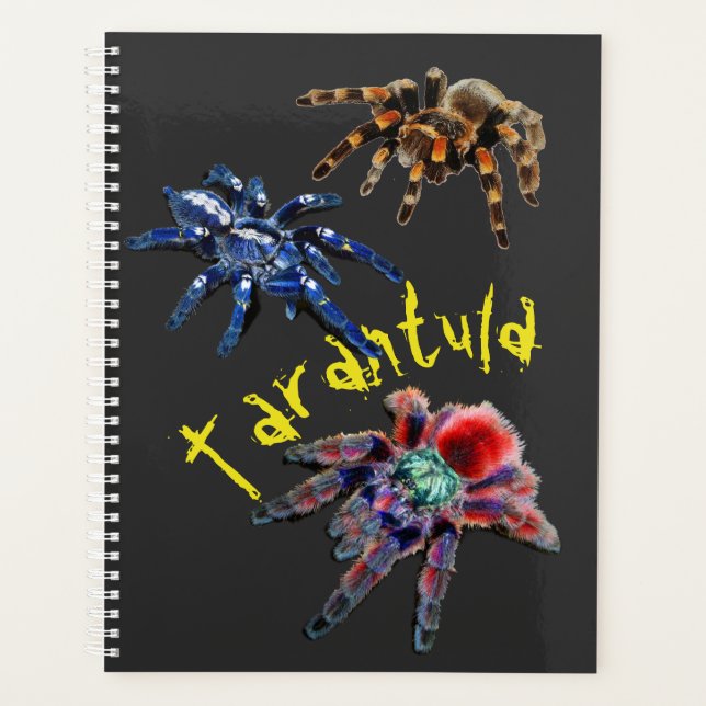 Agenda Araña tarántula, araña azul, araña roja, arañas (Anverso)