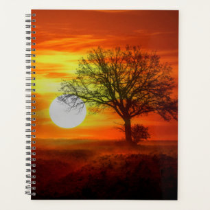 Agenda Árbol al atardecer