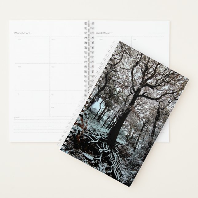 Agenda Árbol con raíces (Demostración)