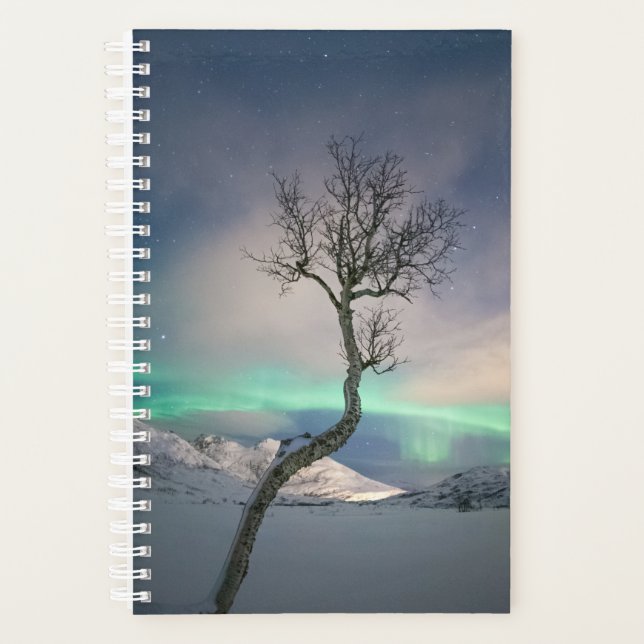 Agenda Árbol de luces boreales (Anverso)